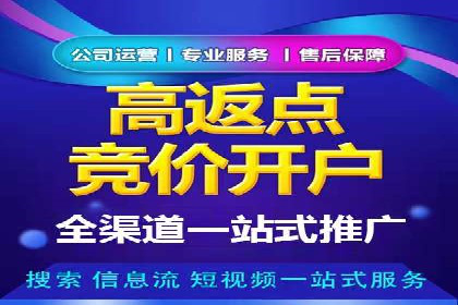 百度SEO推广实战案例：提升网站排名
